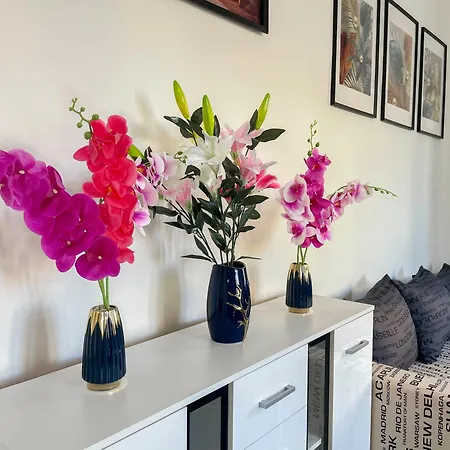 W25 Spacious 3br Free Parking * Budapeşte